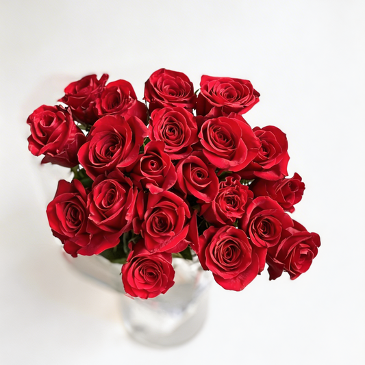 Bouquet of red roses in a clear vase on a white background