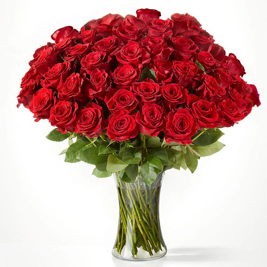 Fresh long-stemmed red roses arranged in a sleek vase, creating a stunning centrepiece for any occasion.