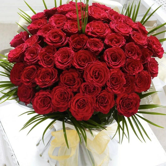 50 Minimalist  Red Roses in Vase