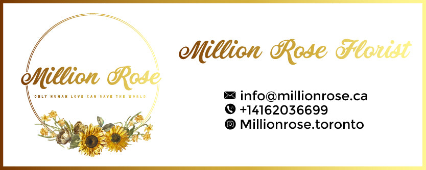 You can tour our shop by watching the video