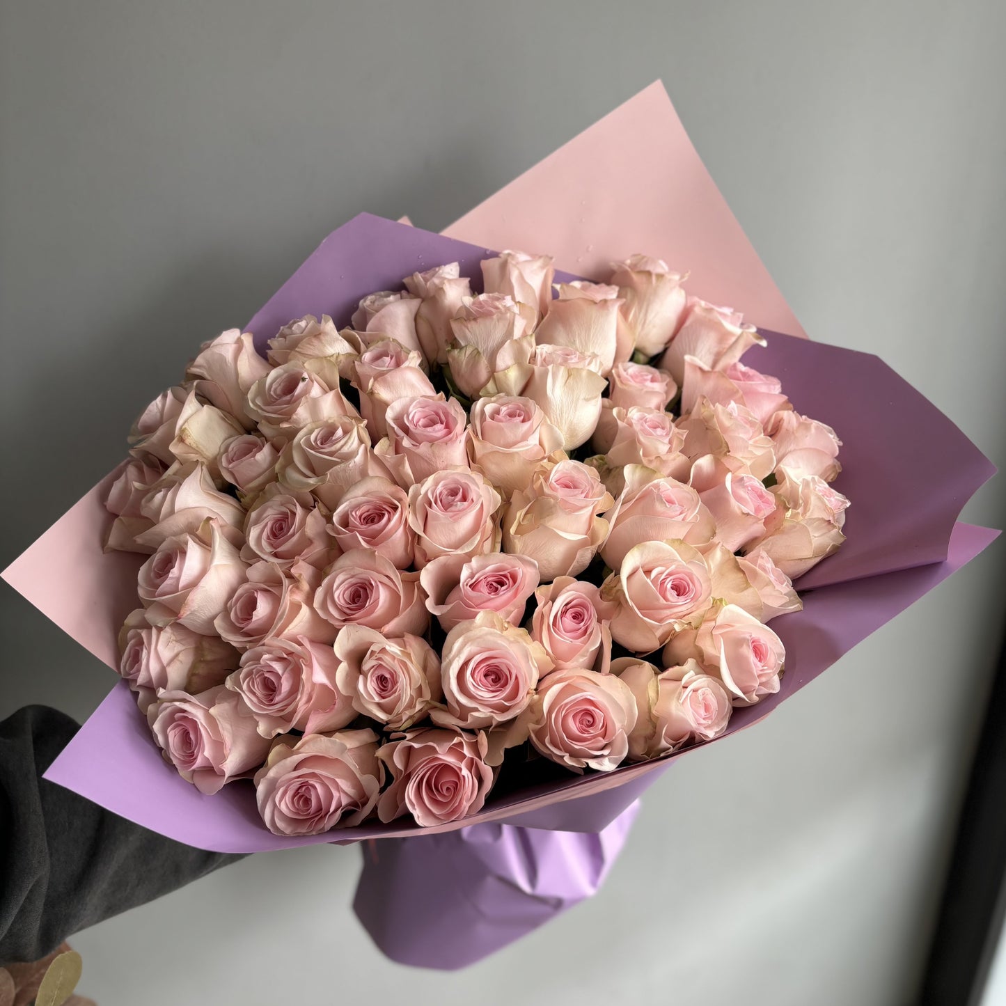 50 Minimalist Baby Pink Roses