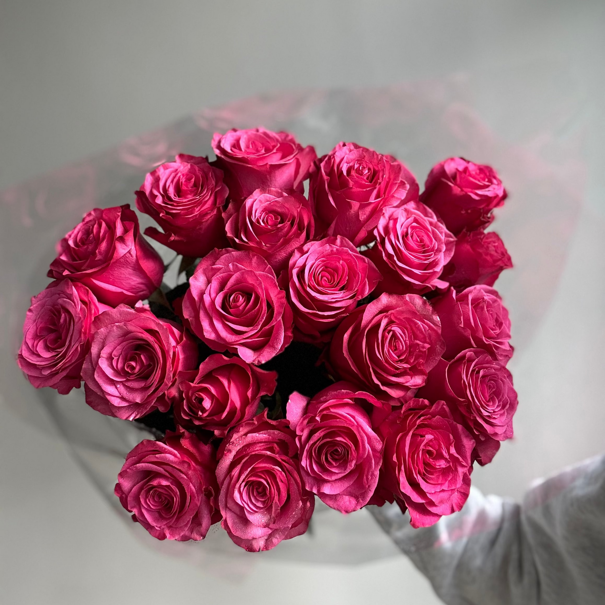 Bouquet of pink roses in clear plastic wrap on a light gray background