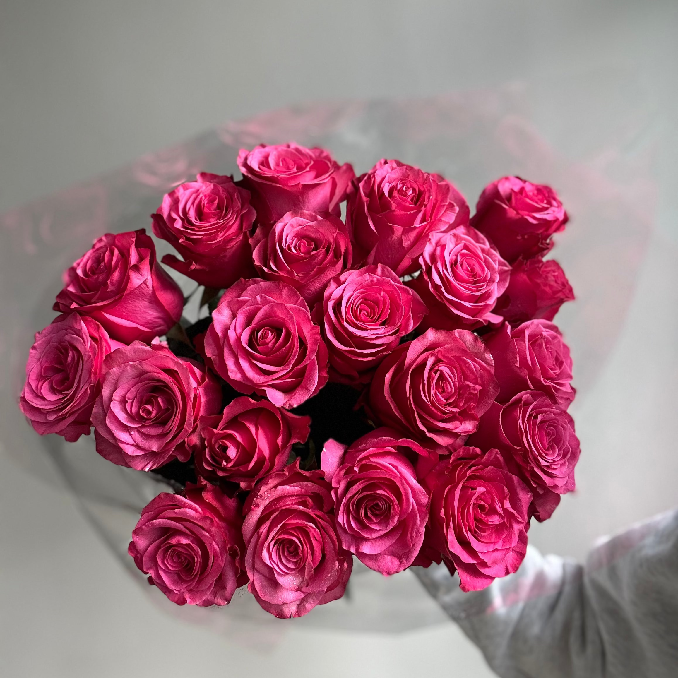 Bouquet of pink roses in clear plastic wrap on a light gray background