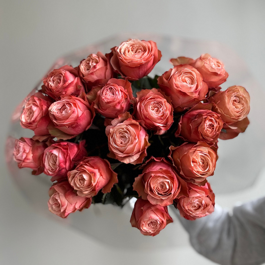 Bouquet of pink roses held by a person against a white background
