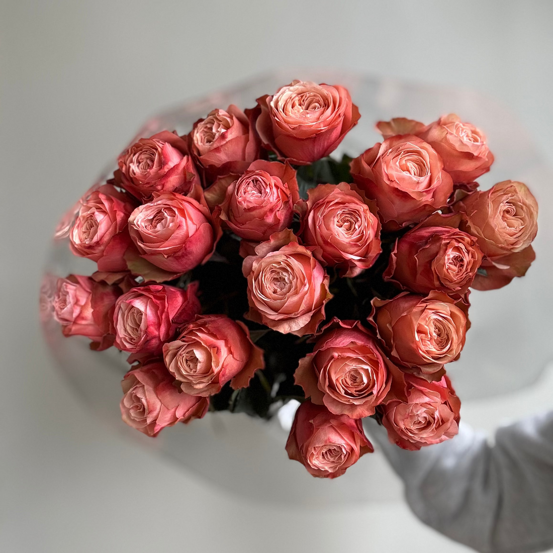 Bouquet of pink roses held by a person against a white background