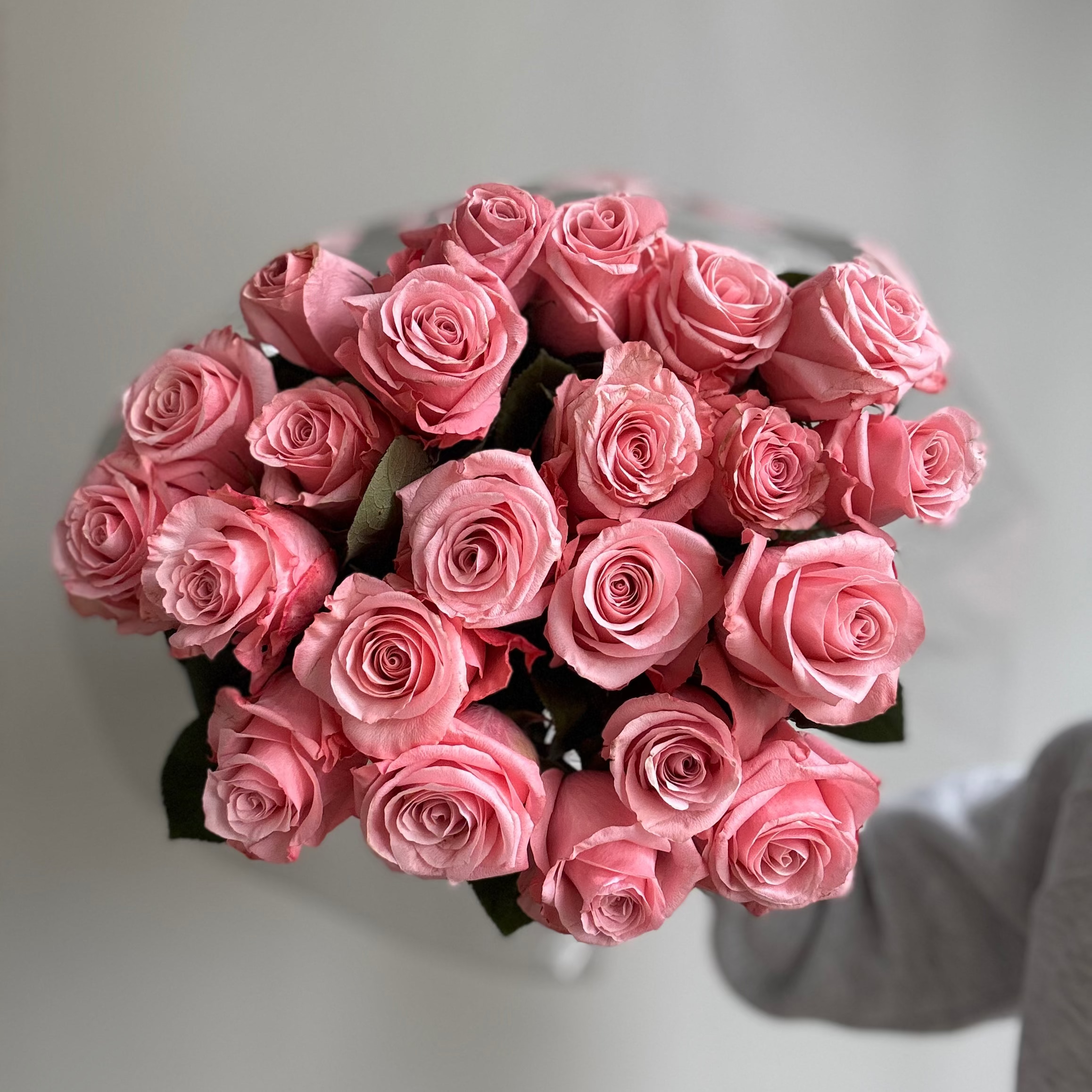 Luciano Light Pink Roses
