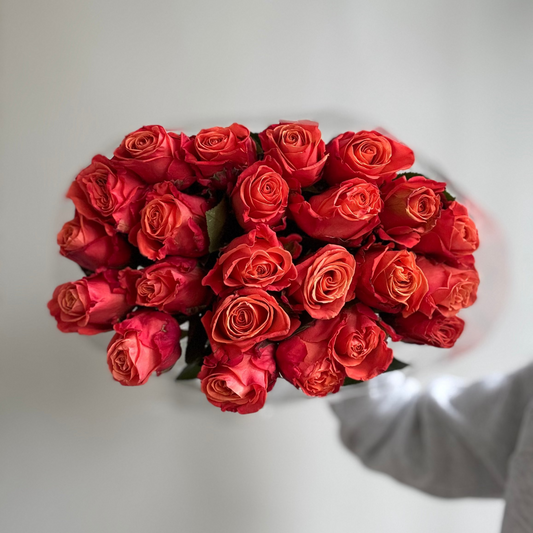 Orange and Red Fusion Roses