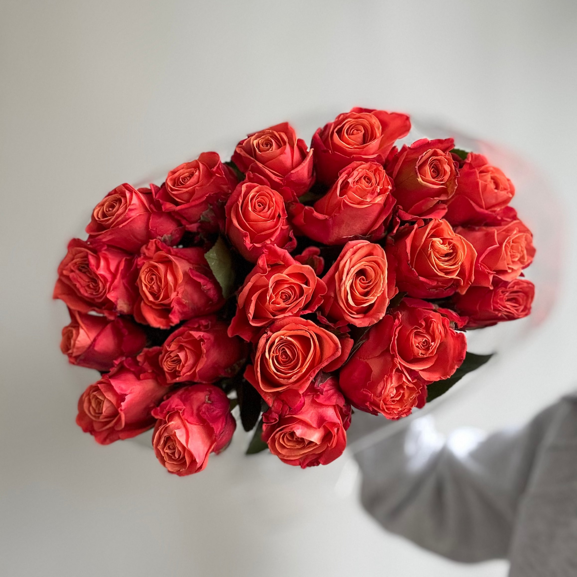 Bouquet of red roses on a light gray background