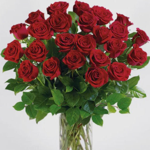 Minimalist Long Stem Red roses in Vase