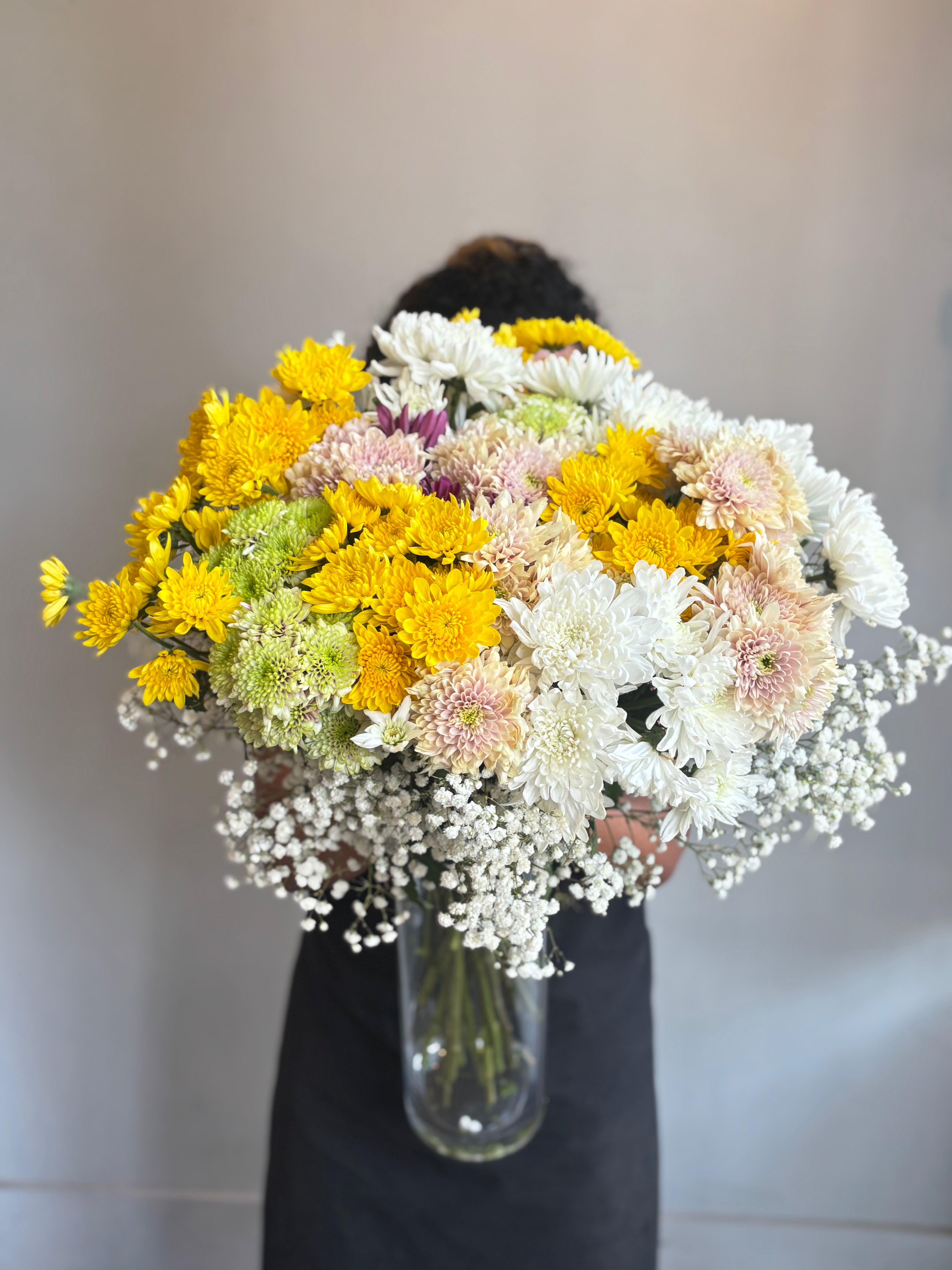 Fluffy Colourful Daises