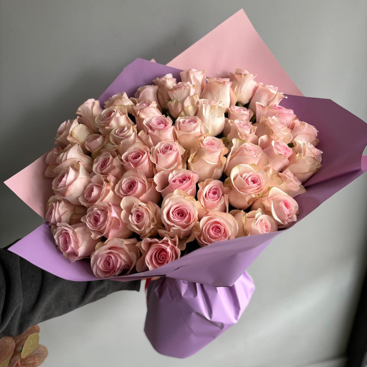 50 Minimalist Baby Pink Roses