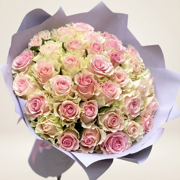 Minimalist White and Pink Roses