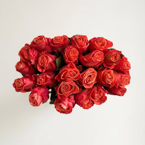 Short-Stemmed Orange and Red Fusion Roses