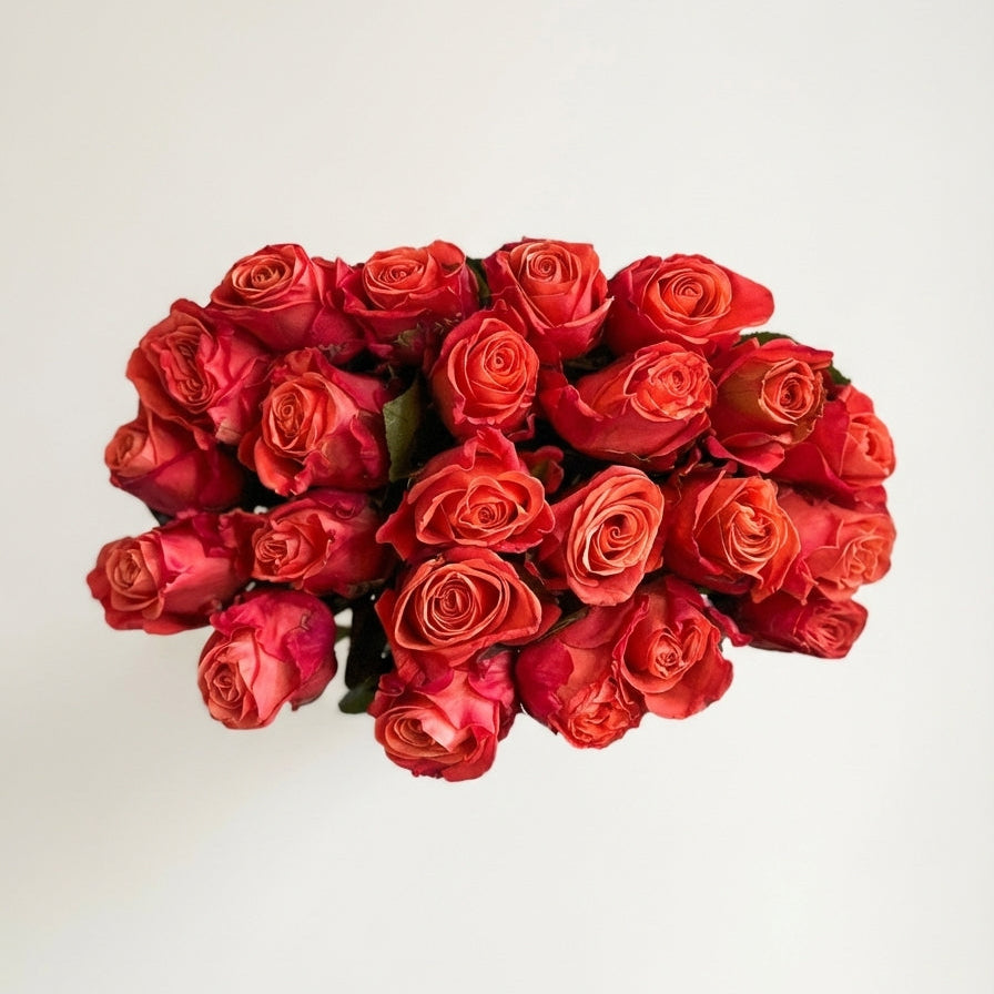 Short-Stemmed Orange and Red Fusion Roses