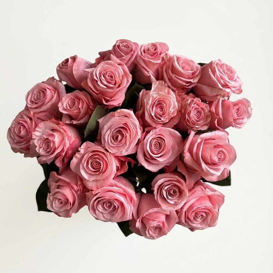 Short-Stemmed Luciano Light Pink Roses