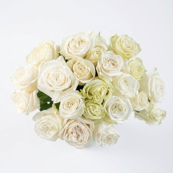 Bouquet of white and light green roses on a white background