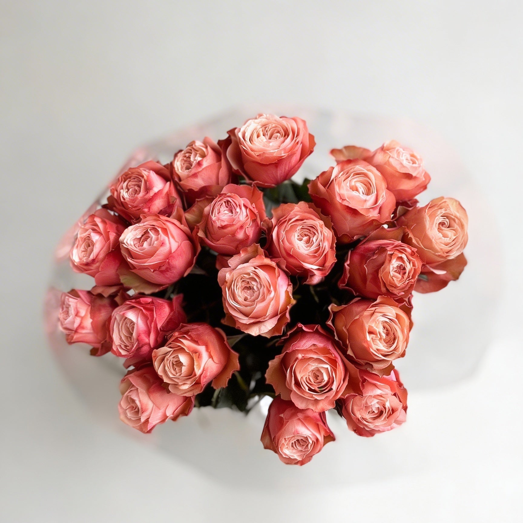 Bouquet of pink roses on a light gray background