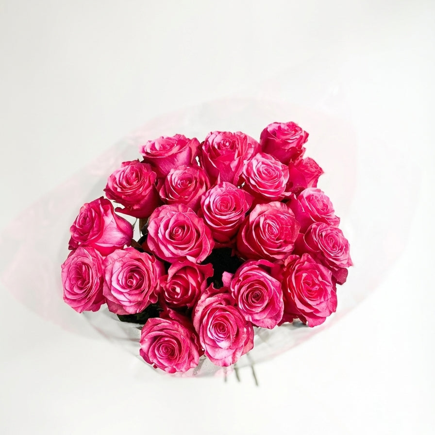 Bouquet of pink roses on a white background