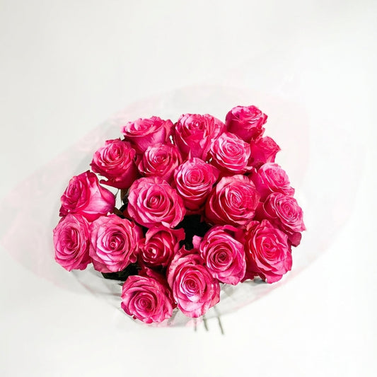 Bouquet of pink roses on a white background