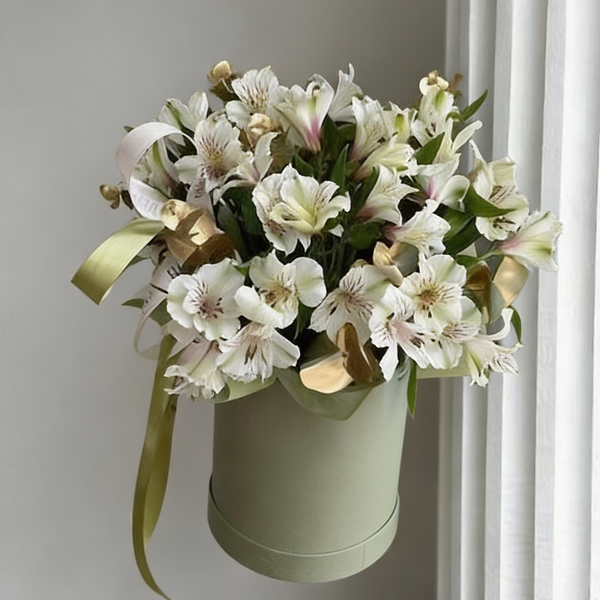 Asterius Prestige Box