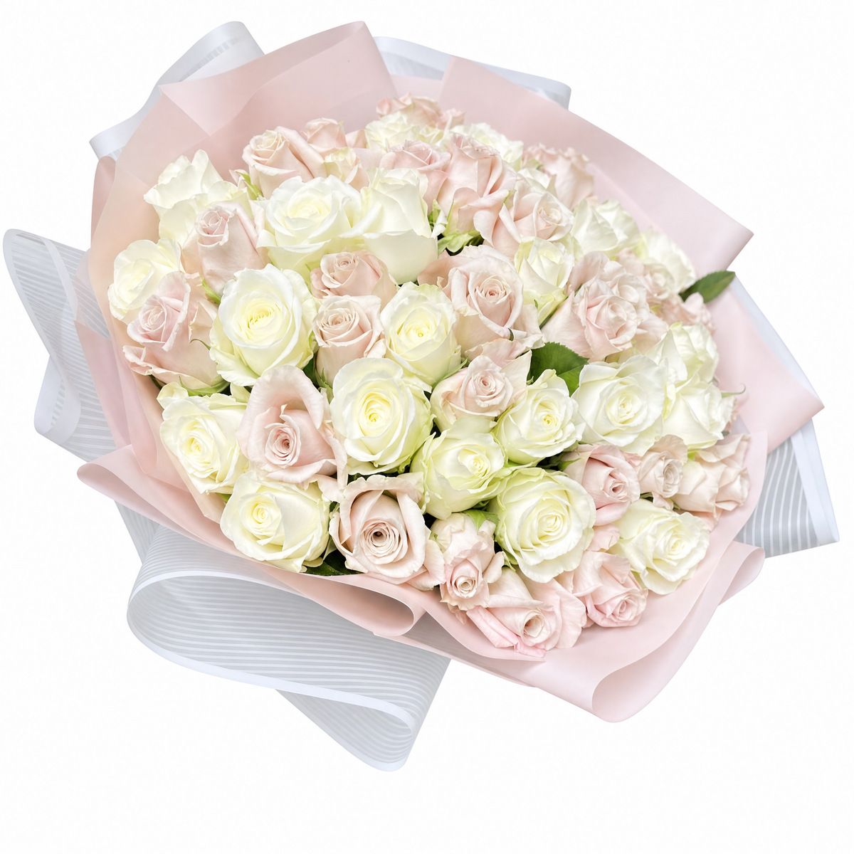 Pink and White Roses