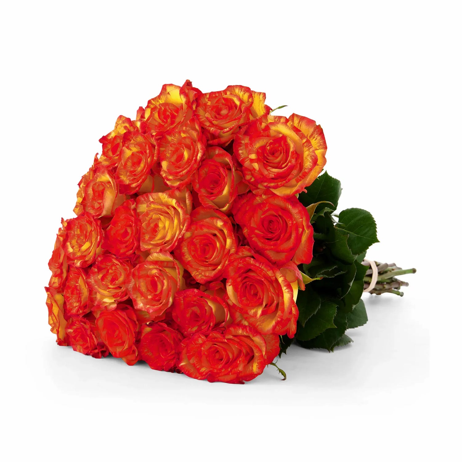 "A close-up of High and Orange Roses with vibrant, fiery orange petals, showcasing their bold and striking appearance