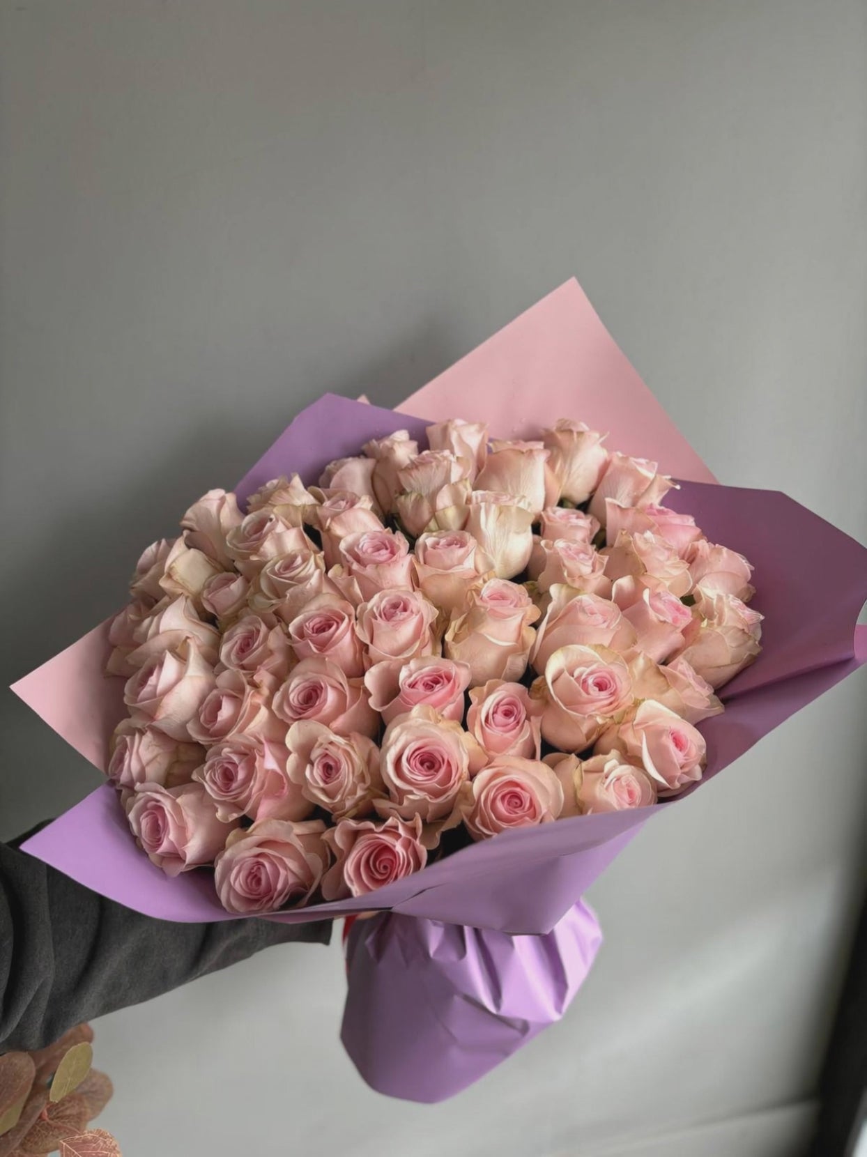 50 Minimalist Baby Pink Roses